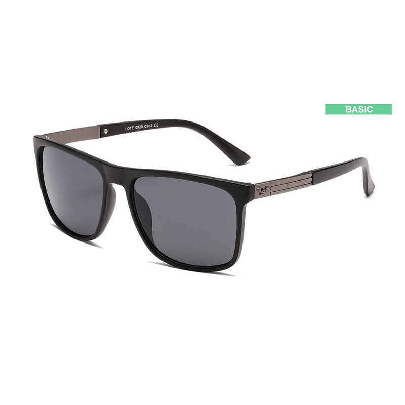 New Vision N-2593-3 New Vision N-2593-3